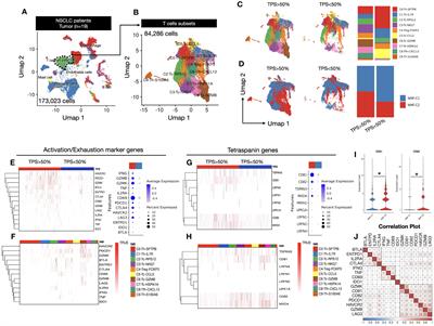 CD81 and CD82 expressing tumor-infiltrating lymphocytes in the NSCLC tumor microenvironment play a crucial role in T-cell activation and cytokine production